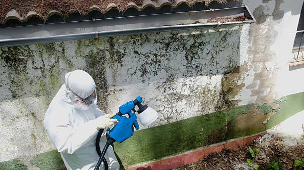 Top rated local Mold Remediation specialists in Annville, PA